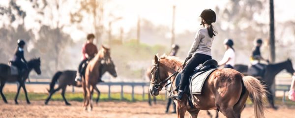 équitation