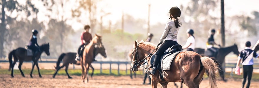 équitation