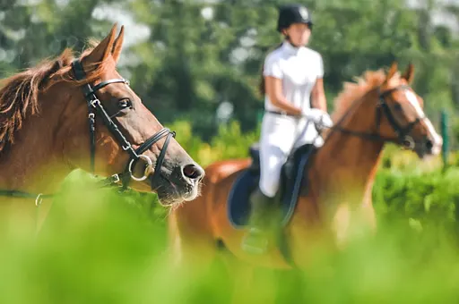 EQUITATION-DES-EQUIPEMENTS-3