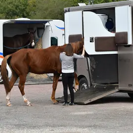 LES-ABRIS-BOX-ET-VANS-POUR-CHEVAUX